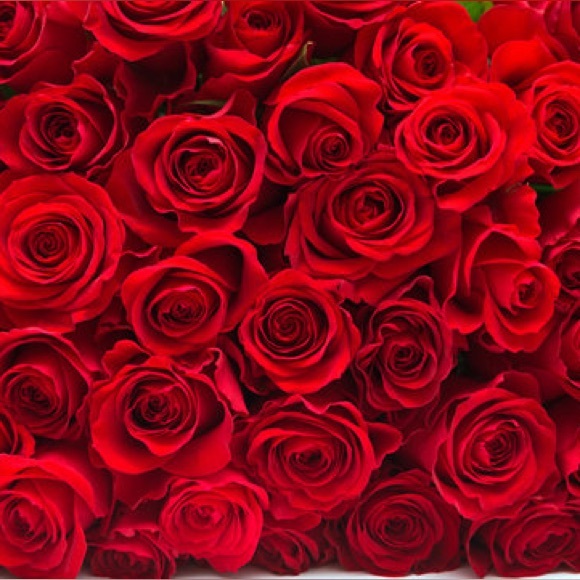 Meet your Posher, Anna - Picture 1 of 1